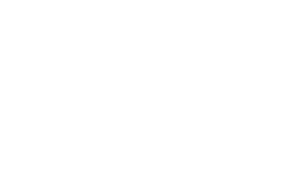 AspFox